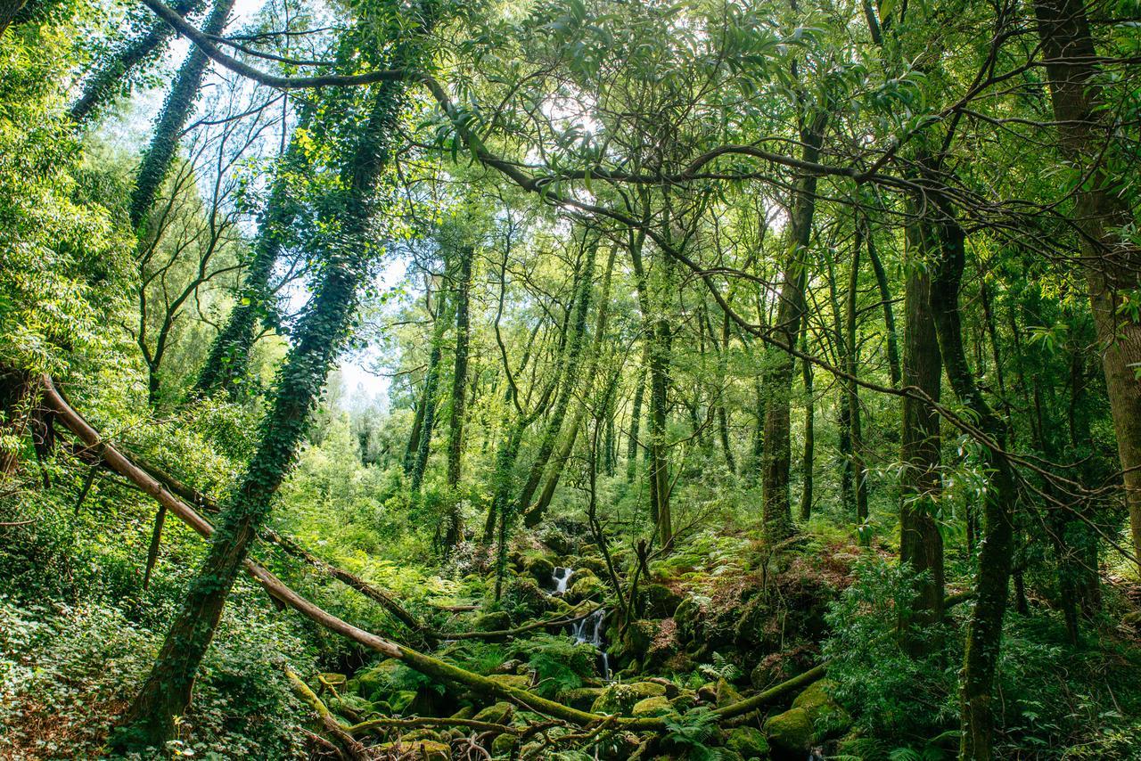فيلا Quinta Do Rio Geres Bouro المظهر الخارجي الصورة